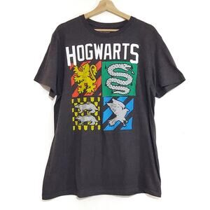 Harry Potter | Hogwarts 4 Houses Graphic Tee